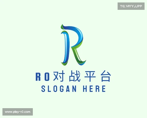 了解r0对战平台